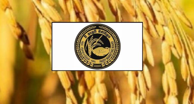 Govt Spends Rs. 7.9 Billion on Paddy Purchases